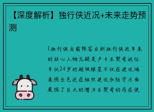 【深度解析】独行侠近况+未来走势预测