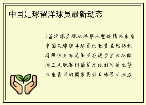 中国足球留洋球员最新动态